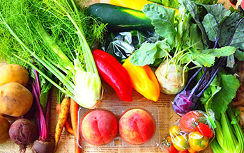 浜松市中央区の野菜・青果の農家直売所を運営するけんこう農園